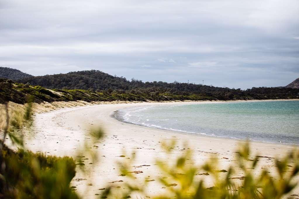 Saffire - Freycinet Hotel โคลส์เบย์ ธรรมชาติ รูปภาพ